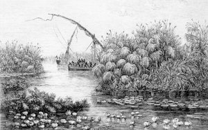 Fartygen i gräsbarriären, från "The Heart of Africa, tre års resor och äventyr i de outforskade regionerna i Centralafrika, från 1868 till 1871", av Georg August Schweinfurth av English School