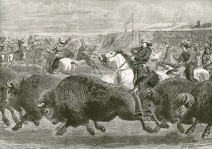 Vilda västern på den stora amerikanska utställningen - jagar bison och wapitihjort av English School
