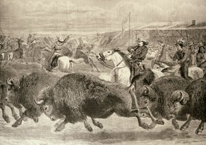 "The Wild West" på den stora amerikanska utställningen: Hunting Bison and Wapiti Deer, från "The Illustrated London News", 18 juni 1887 av English School