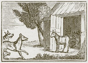 Vargarna och den sjuka åsnan (gravyr) av English School