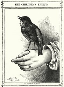Woodhall Spa Robin (gravyr) av English School
