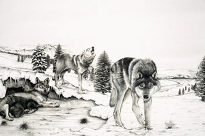 The World of Nature: "Gangster" på fyra ben av English School