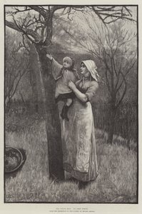 The Young Bud (gravyr) av English School