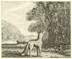 Räven och druvorna (gravyr) av English School