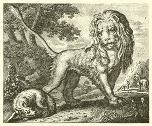 Räven och lejonet (gravyr) av English School