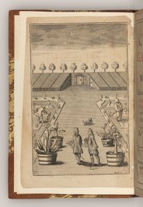 Framsidan av The City Gardener av Thomas Fairchild av English School