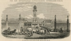 Den nya Metropolitan Cattle Market, Copenhagen Fields av English School