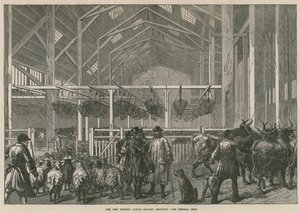 Den nya utländska boskapsmarknaden, Deptford, London - det centrala skjulet