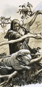 Die Hirten von Bethlehem mussten ihre Schafe retten, als sie gefangen wurden von English School