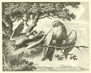 Den sjuka draken (gravyr) av English School