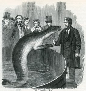 Den talande fisken av English School