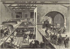 Årgången av Medoc av English School