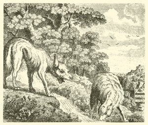 Vargen och lammet (gravyr) av English School