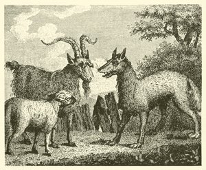 Vargen, lammet och geten (gravyr) av English School