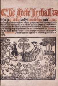 Titelsida som illustrerar en trädgårdsscen med figurer, 1529 av English School