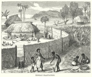 Tongan Plantation (gravyr) av English School