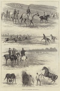 Utbildning på Newmarket (gravyr) av English School