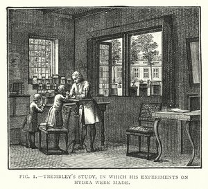 Trembleys studie, där hans experiment på Hydra gjordes (gravyr) av English School