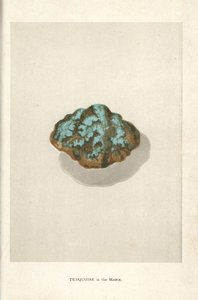 Turkos i matrisen, från Edwin Streeters "Precious Stones and Gems", London, George Bell & Sons av English School