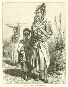 Typer av honor av Futa-Jallon av English School
