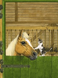 Oidentifierad häst och lekfull kattunge av English School