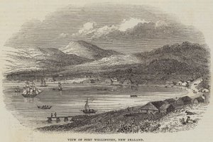 Vy över Port Wellington, Nya Zeeland (gravyr) av English School