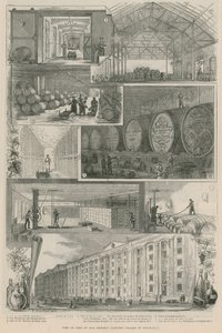 Vy över en del av Max Gregers (Limited) källare i Southwark av English School