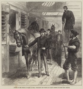 Prinsen av Wales resa till Indien, övning av Prince of Wales hästar ombord på HMS Serapis (gravyr) av English School