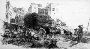 Vagnar med Esparto Grass, Almeria, Spanien, från 