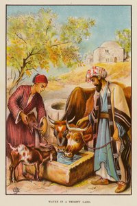 Vatten i ett törstigt land (färg litho) av English School