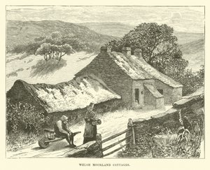Welsh Moorland stugor av English School