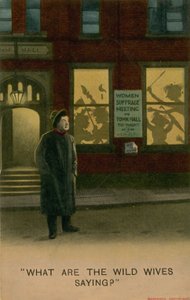 Vad säger de vilda fruarna? av English School