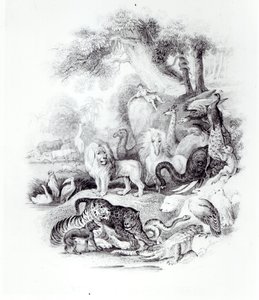 Vilda djur från "A History of the Earth and Animated Nature" av Oliver Goldsmith, London, 1840 av English School
