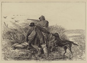 Vildandsskytte i Norfolk (gravyr) av English School