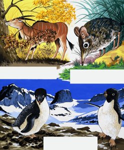 Wildlife montage av English School