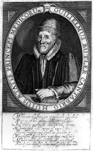 William Butler, efter ett originalporträtt i Clare Hall, Cambridge, 1620 av English School