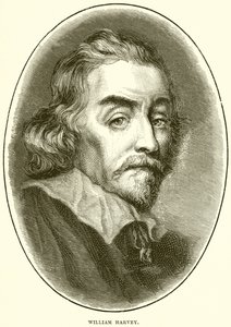 William Harvey