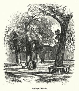 Winchester College: College Meads (gravyr) av English School
