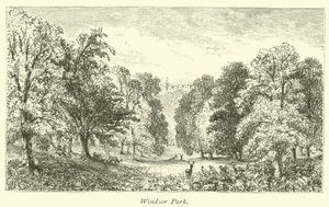 Windsor Park av English School