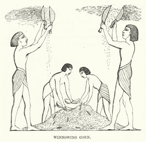 Winnowing Corn (gravyr) av English School