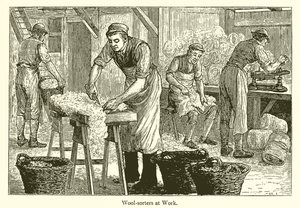 Wool-Sorters av English School