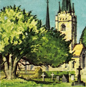 Idegran på en kyrkogård av English School
