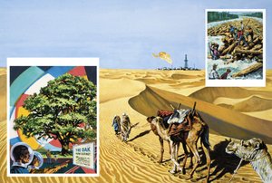 Du kan leda en kamel till olja av English School