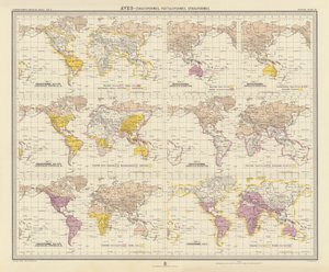 Zoogeografi: Aves, Coraciiformes, Psittaciformes, Strigiformes (färglitografi) av English School