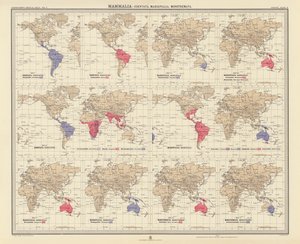 Zoogeografi: Mammalia, Edentata, Marsupialia, Monotremata (färglitografi) av English School