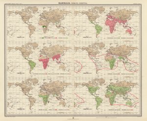 Zoogeografi: Däggdjur, primater, kräldjur (färglitografi) av English School