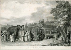 Zoologiska trädgårdar, Regents Park av English School