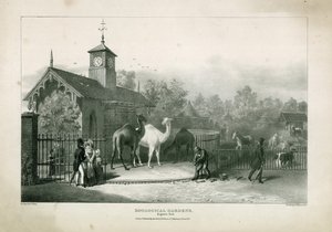 Zoologiska trädgårdar, Regents Park av English School