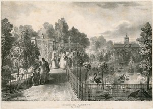 Zoologiska trädgårdar, Regents Park av English School