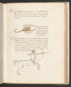 Hel sida: text med zodiakens tecken: "Skorpionen", ca 1470 (penna och pensel) av Erich Lessing